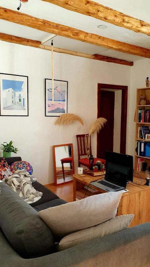 Appartement Entire House In The Heart Of Kozana à Dobrovo Extérieur photo